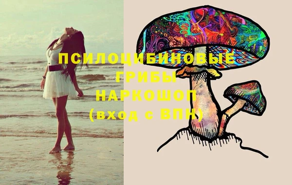 ПСИЛОЦИБИНОВЫЕ ГРИБЫ Горняк