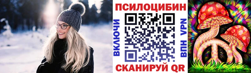 Купить где  Меленки  Галлюциногенные грибы MAGIC MUSHROOMS 